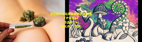 2c-b Алексин