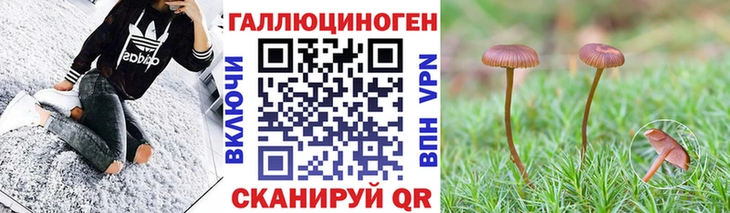 Галлюциногенные грибы MAGIC MUSHROOMS  Яхрома 